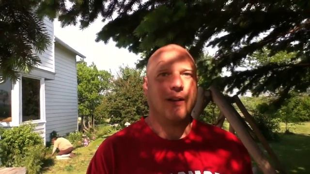 Elmer and Aletta's Farm--New Owners смотреть онлайн