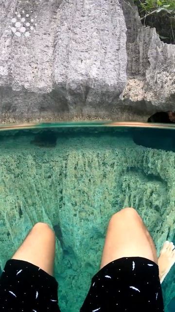 Swimming in crystal clear water at Barracuda lake смотреть онлайн