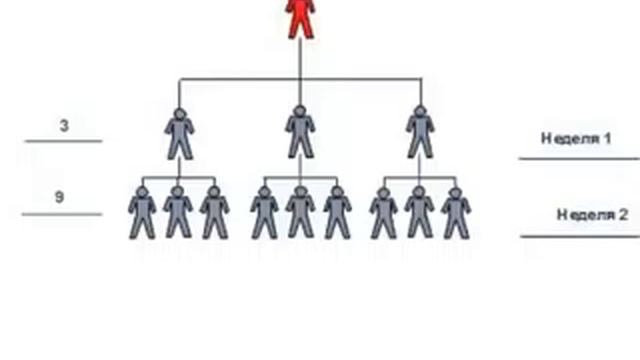 Сколько можно заработать в компании SkinnyBodyCare Сергей Лисица смотреть онлайн