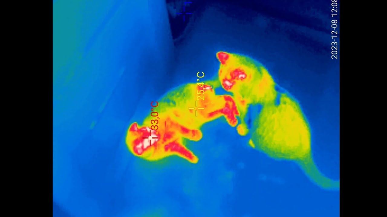 Пеноплекс 50 мм. После утепления фундамента и стен. смотреть онлайн