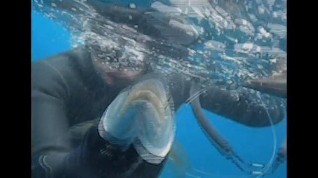 Açores in my heart.mov смотреть онлайн