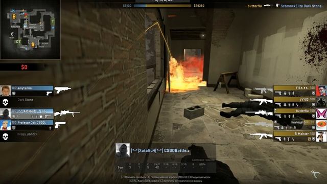CS:GO Читерская Муха смотреть онлайн