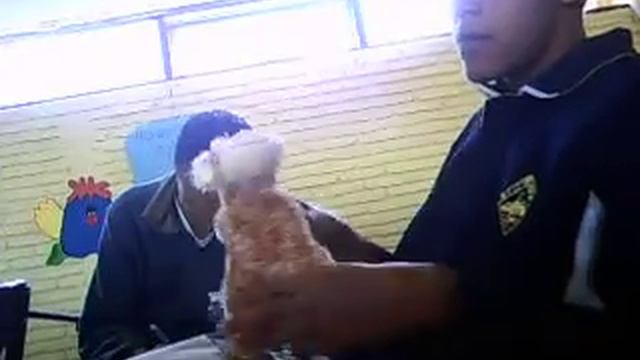 jirafa dance смотреть онлайн