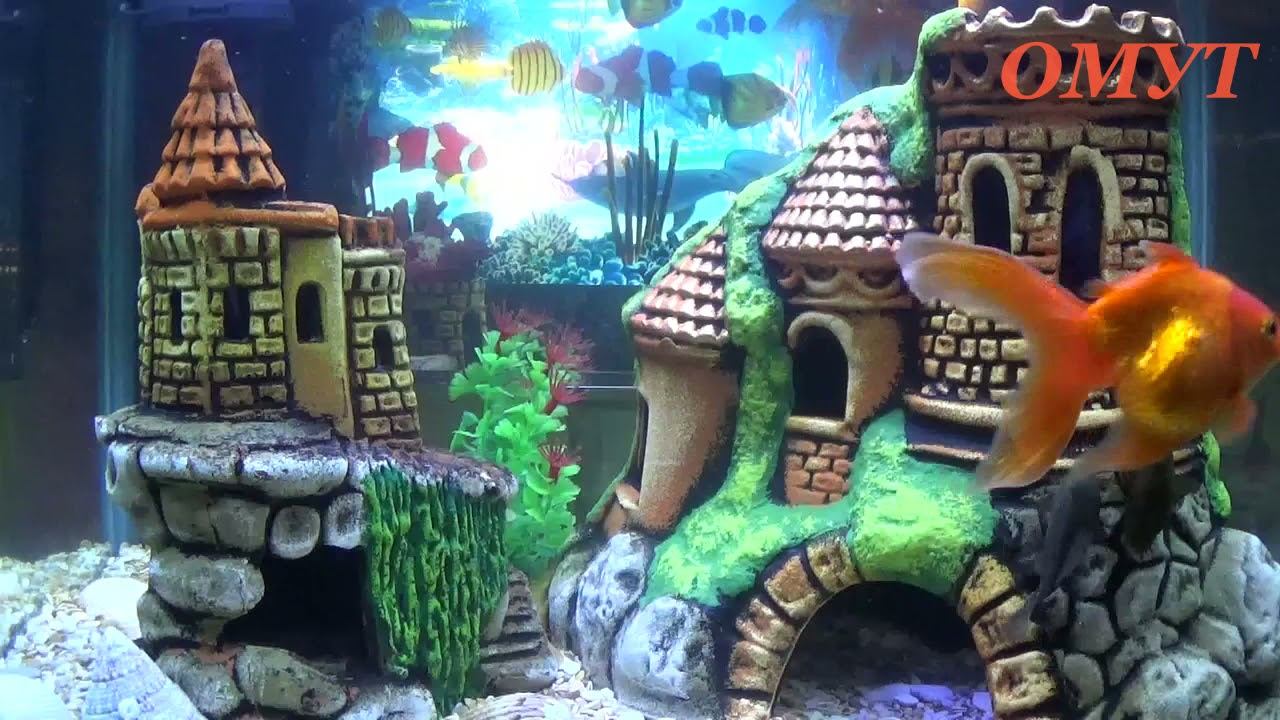 360. УБЕРЁМ ЕЩЁ ОДИН ВИД ПОРЧИ и ПРОСТО ПООБЩАЕМСЯ... смотреть онлайн