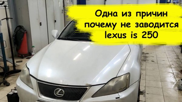 Lexus IS250 (Лексус Ис 250) Машина не заводится