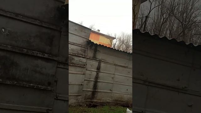 Кошка пока не ищет котят. смотреть онлайн