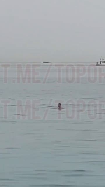 MISRDAGI AKULA смотреть онлайн