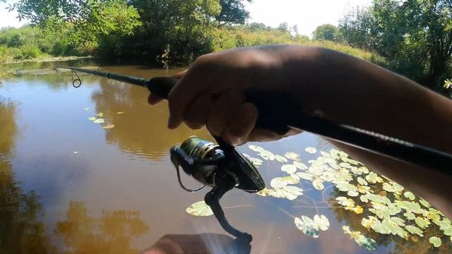 DE NOMBREUX BROCHETS SE CACHENT DANS CETTE RIVIERE TRES PEU ACCESSIBLE ! смотреть онлайн
