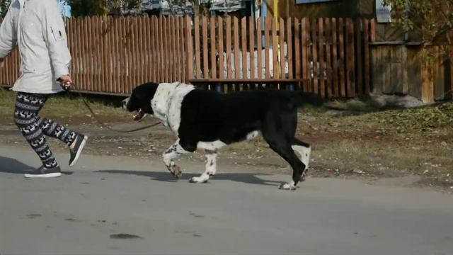 ОЕССЕНН СТИЛЬ Ера Солан (Габбас*Дива) 3 года смотреть онлайн
