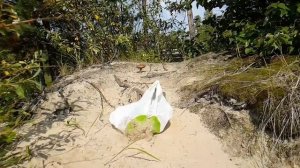 Ловля бурундука на почет