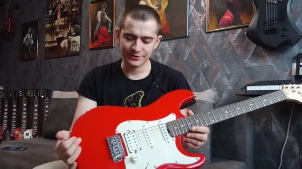 Электрогитара Terris Stratocaster. Обзор.