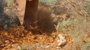 Австралийские Золотоискатели. 9 сезон 12 серия (автоперевод)