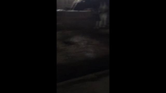Сбежавший бык смотреть онлайн