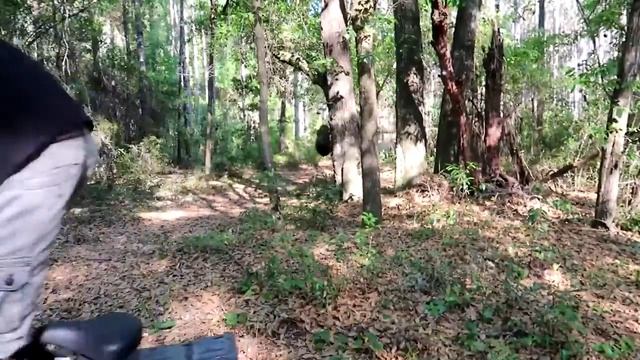 Moped m смотреть онлайн