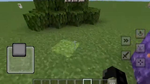 кто я марская черепашка по имени наташка смотреть онлайн