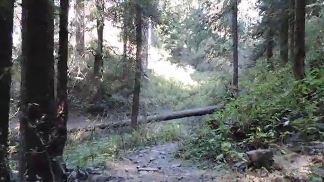Dagri Bangla - Galiyat - Khyber Pakhtunkhwa (KPK) - Oct 2016 смотреть онлайн
