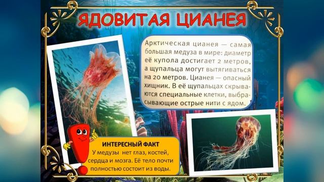 Животные -рекордсмены смотреть онлайн