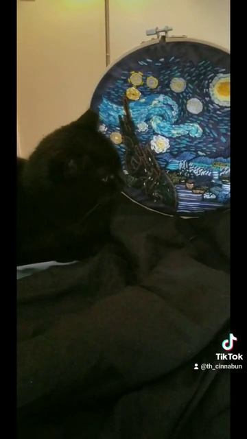 well idk what to say. she didn't like my best embroidery Artwork 💔 смотреть онлайн