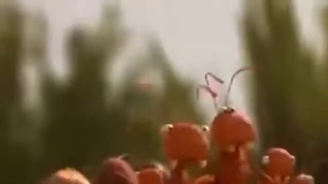 Мультик о команде смотреть онлайн