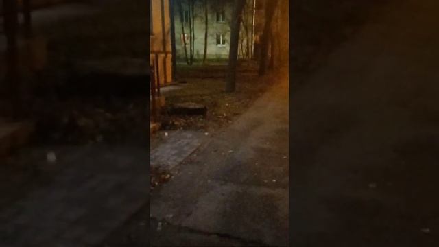 ЛИС ВЫБРАЛСЯ ПОКОРЯТЬ САНКТ-ПЕТЕРБУРГ смотреть онлайн