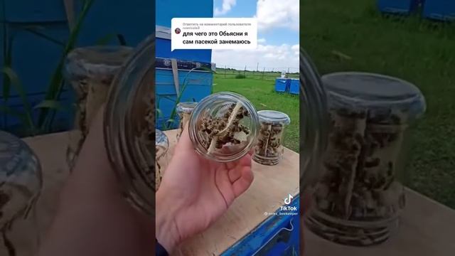 Мёд смотреть онлайн