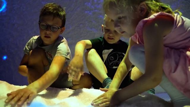 Обучение в движении ДС 23 Кенгуру смотреть онлайн