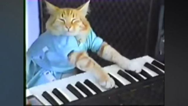 Кот играл на пианино 16 лет назад. смотреть онлайн