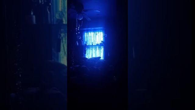 Neon Trees - Animal (Reverb) смотреть онлайн