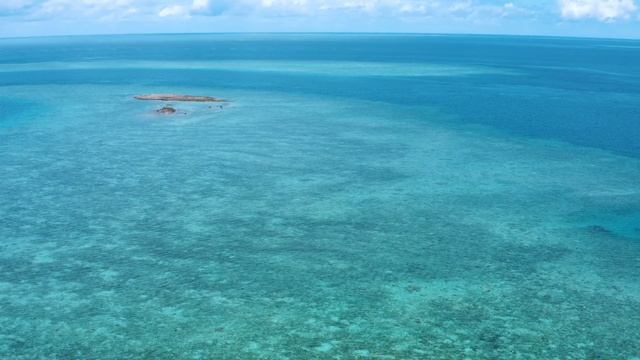 Слияние природы с музыкой