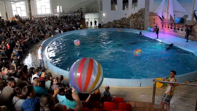 Ненсі Бей - Шоу дельфінів(сюжет до програми ТЕМА: Дельфіни) смотреть онлайн