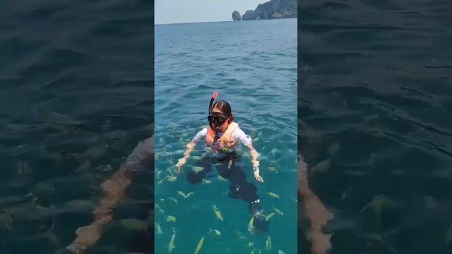 I smell something fishy😅🐟 #thailandtravel #snorkeling #travel смотреть онлайн