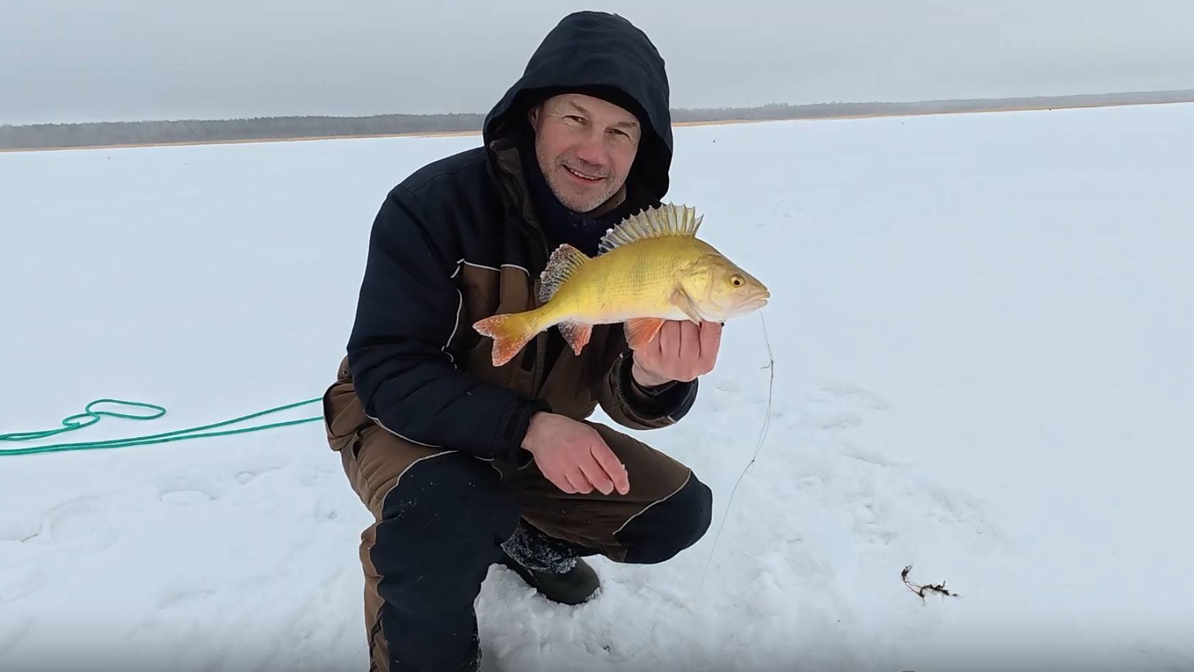 Чуть не уехал раньше, чем начался клёв! Рыбалка на Сугояке 06.02.25 смотреть онлайн