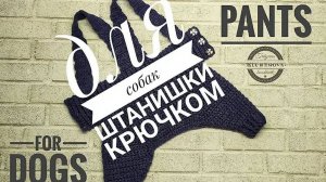 Штанишки для собак и кошек, вязание крючком
