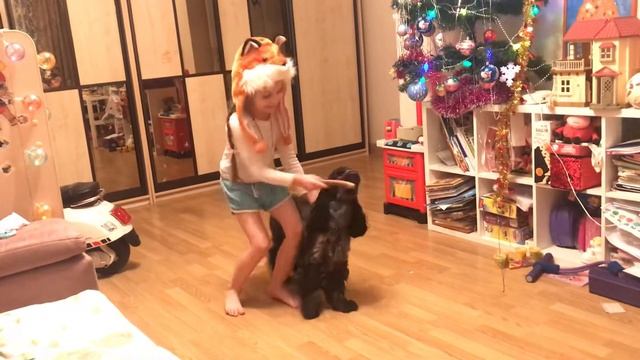 Лиса и собака смотреть онлайн