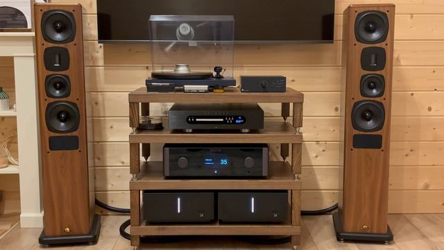 Как звучат кабели: Purist Audio Design Musaeus BiWire Diamond Revision 2.0m ban-ban смотреть онлайн