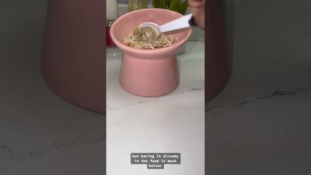 come feed my kitten dinner ✨🐈⬛ смотреть онлайн