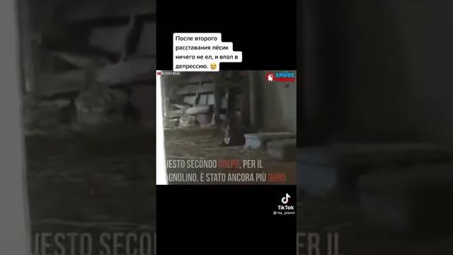 грустная история😭😢😓😭😢 смотреть онлайн