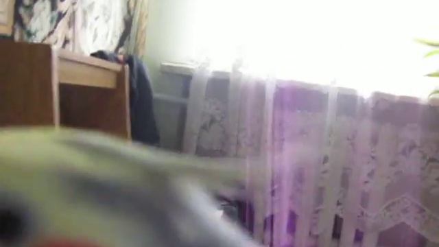 Корелла по имени Яков Сруль смотреть онлайн
