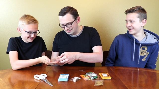 WEIRD INSECT SNACKS TASTE TEST смотреть онлайн