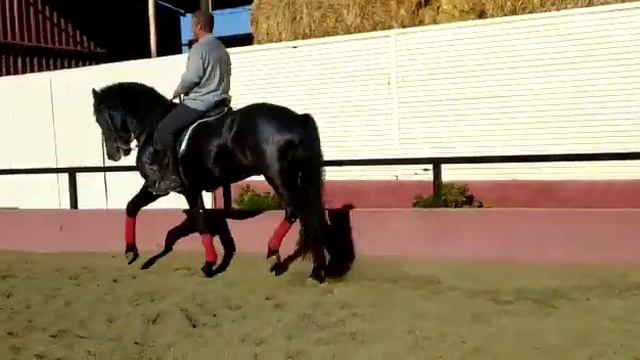 wow смотреть онлайн
