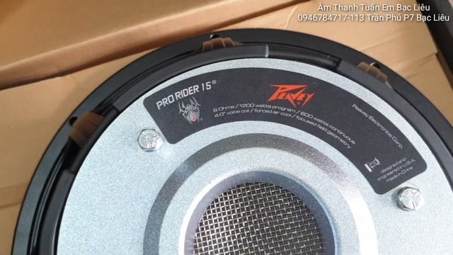 Test Nhanh Loa 4T Mỹ USA Peavey Pro Rider Và Phân Tần Gửi Chú Khách Bến Tre смотреть онлайн