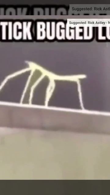 😱When A Hacker Finds Your Password...😱 #short #beluga #shorts смотреть онлайн