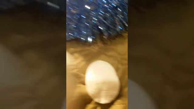 Как сделать новогодний уголок для змей 1 часть смотреть онлайн