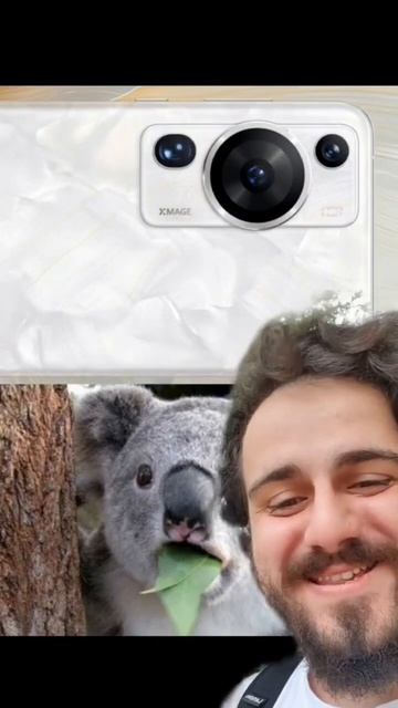 Huawei P60 e P60 Pro #huawei #huaweip60 #huaweip60pro смотреть онлайн