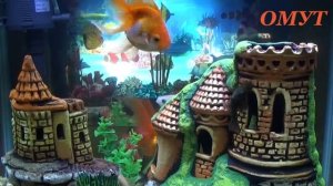 170. ВЕРНЁМ ОТНОШЕНИЕ ДЕТОК...И ВАШИ КОММЕНТЫ...