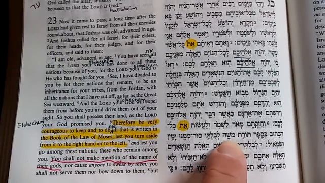 (#81) Witness of Yeshua (as Alef Tav את) in Jos 23:6 смотреть онлайн
