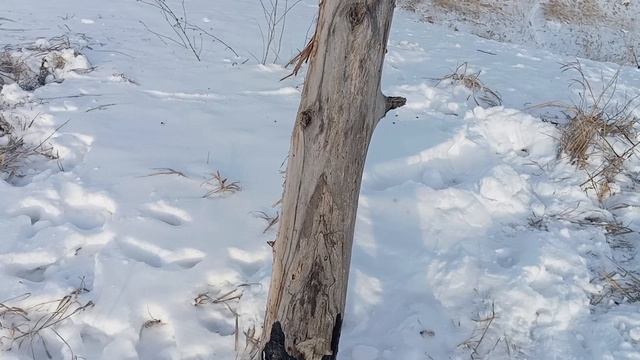 Г. Пенза, Заря -2 Penza Zarya -2