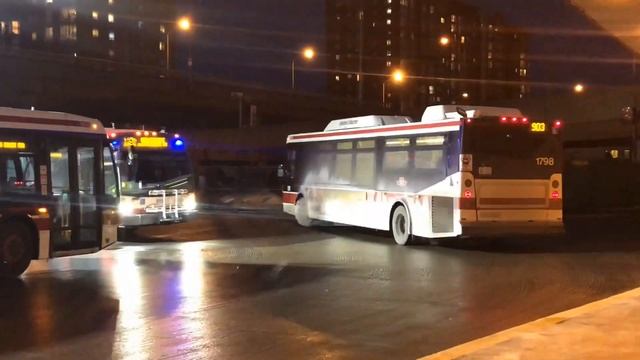TTC Bus 111 смотреть онлайн