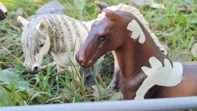 |Сериал Schleich| , Новенькая' ~1 серия~ смотреть онлайн