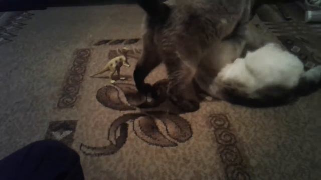 Мурка.и Норка. смотреть онлайн